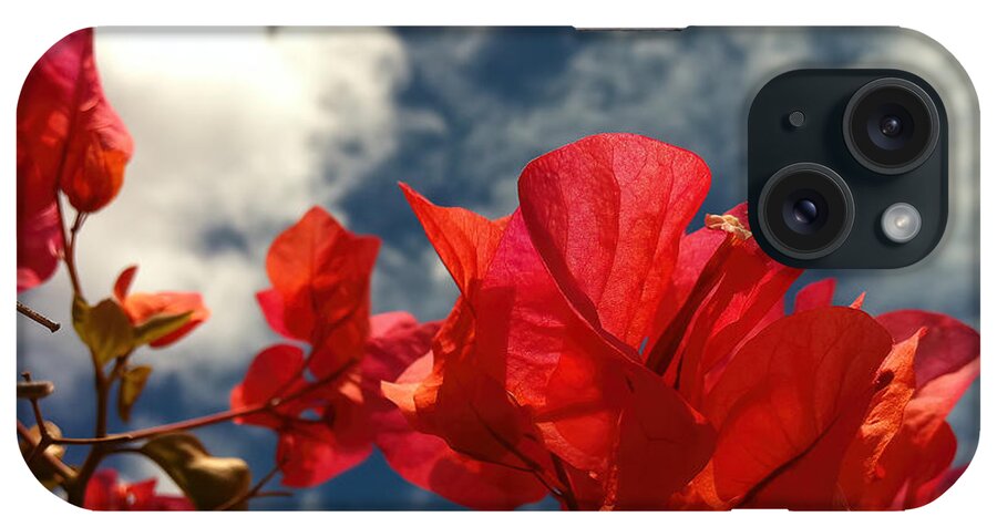 Bougainvillea iPhone Case featuring the photograph Red Bougainvillea Flowers, White Clouds, Blue Sky by Deborah League