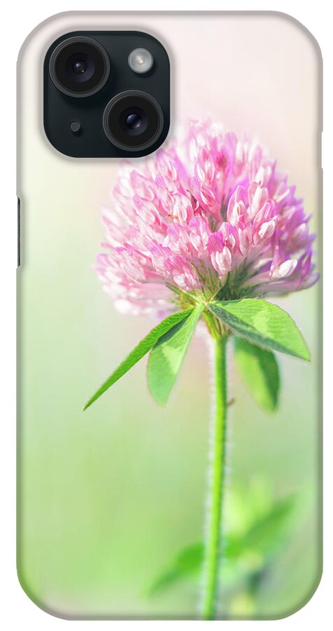 Red Clover iPhone Case featuring the photograph Red Clover Spring Blooming Flower by Jordan Hill