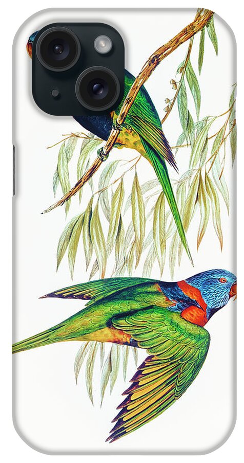 Painting iPhone Case featuring the drawing Red-collared Lorikeet by Elizabeth Gould