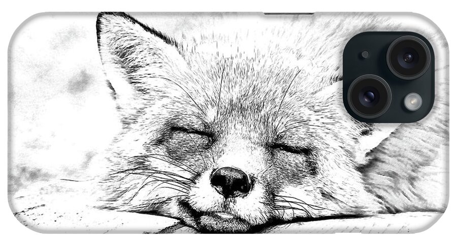 Animal iPhone Case featuring the drawing Red Fox Sleeping on Deck - DWP967657 by Dean Wittle