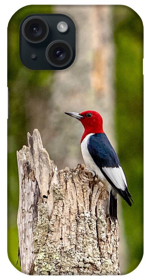 Red-headed Woodpecker iPhone Case featuring the photograph Red-headed Woodpecker by Rick Nelson
