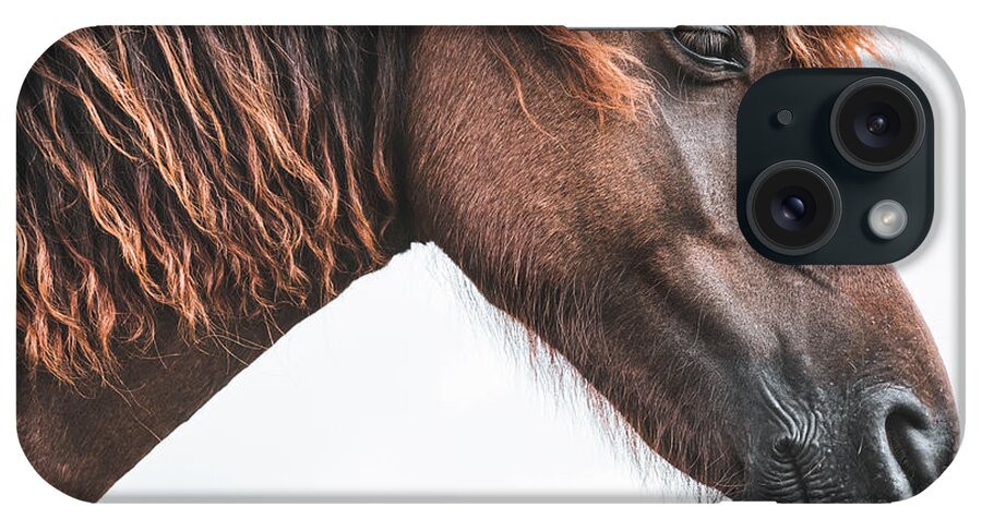 Photographs iPhone Case featuring the photograph Red - Horse Art by Lisa Saint