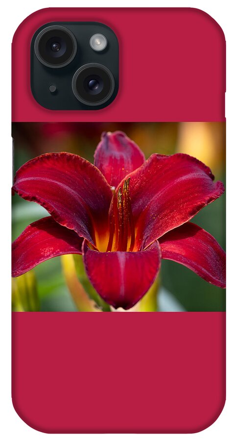 Flower iPhone Case featuring the photograph Red Hot Summer by Linda Bonaccorsi