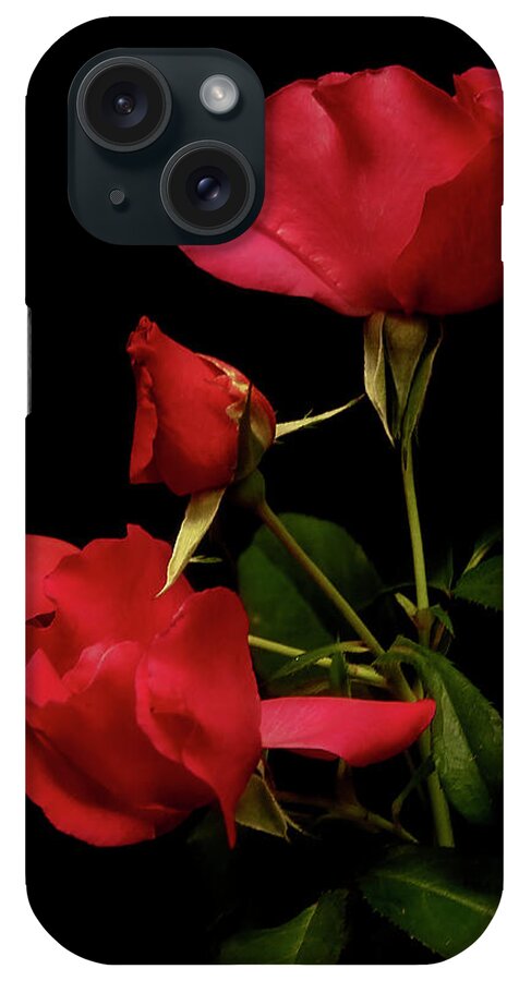 Lucinda Walter iPhone Case featuring the photograph Red is for Passion by Lucinda Walter