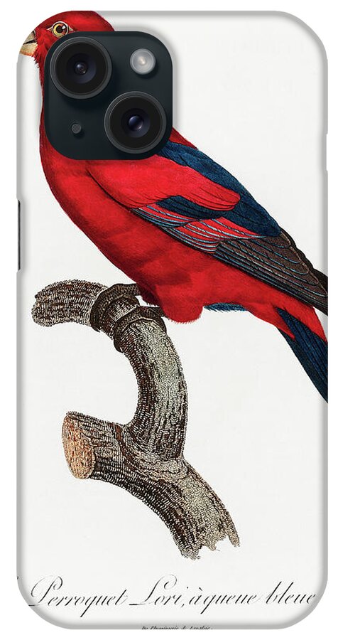 Red Lory iPhone Case featuring the mixed media Red Lorikeet by World Art Collective