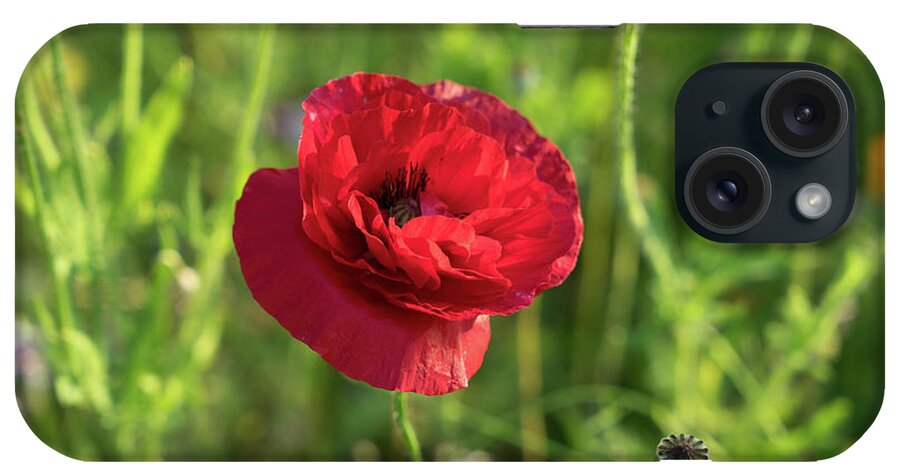 Poppy iPhone Case featuring the photograph Red poppy and green summer meadow by Adriana Mueller