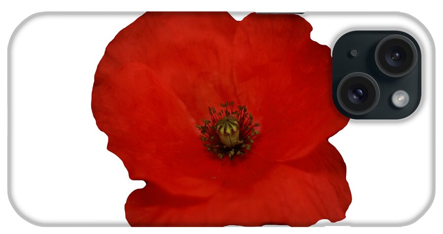 Poppy iPhone Case featuring the photograph Red Poppy Flower on a transparent background by Terri Waters