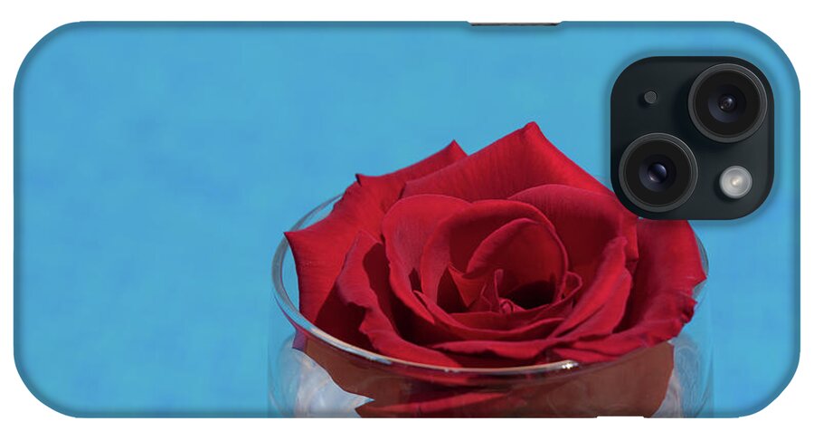 Red Rose iPhone Case featuring the photograph Red rose blossom and blue water by Adriana Mueller