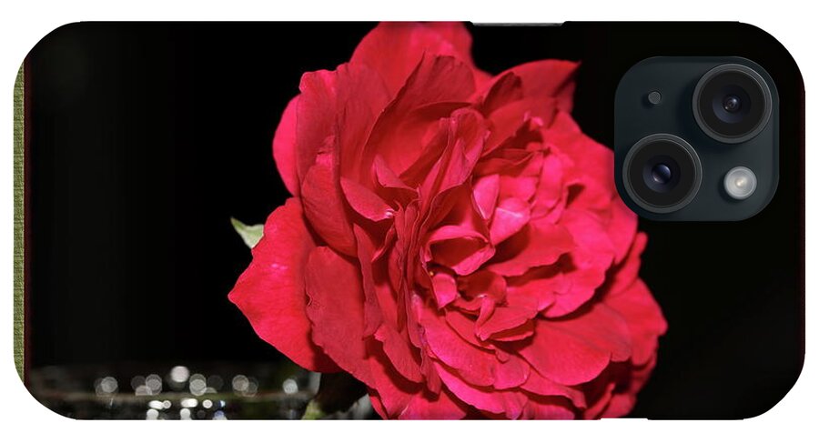 Rose iPhone Case featuring the photograph Red Rose in A Frame by Mingming Jiang