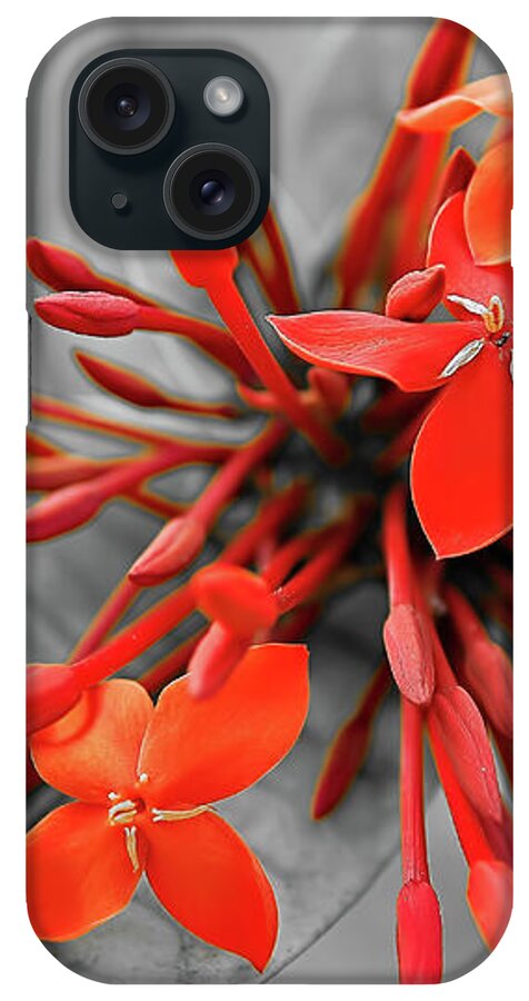 Asia iPhone Case featuring the photograph Red scarlet ixora by Jean-Luc Farges