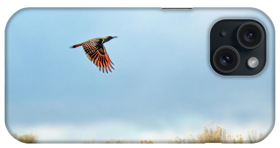 Red Shafted Flicker iPhone Case featuring the photograph Red Shafted Flicker by Rick Mosher