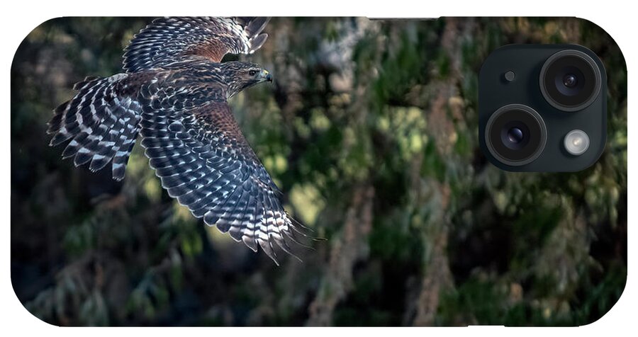 Red Shouldered Hawk iPhone Case featuring the photograph Red Shouldered Hawk 2 by Rick Mosher