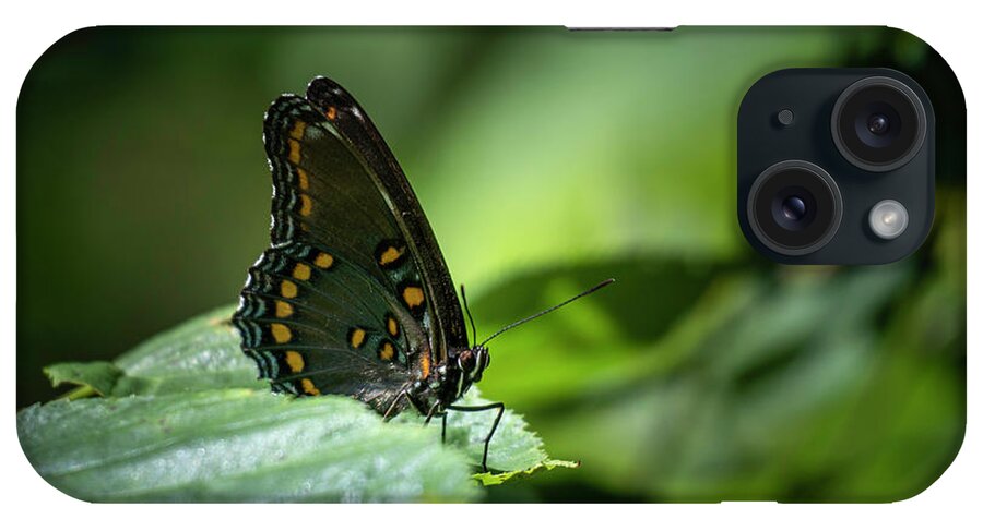 Red Spotted iPhone Case featuring the photograph Red Spotted Purple Admiral Butterfly by Jason Fink