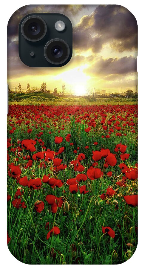 Poppies iPhone Case featuring the photograph Field of poppies at sunrise by Meir Ezrachi