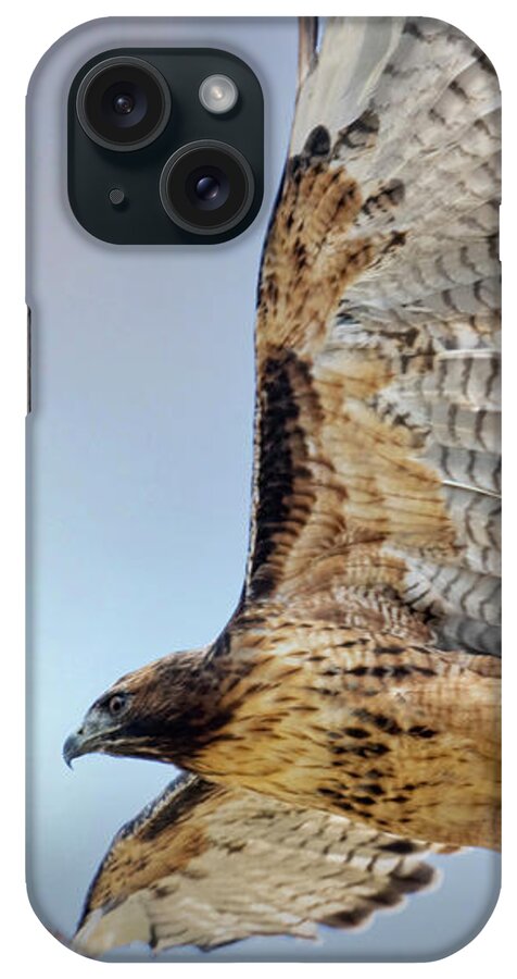 Bird Species iPhone Case featuring the photograph Red-tailed Hawk by Steven Krull