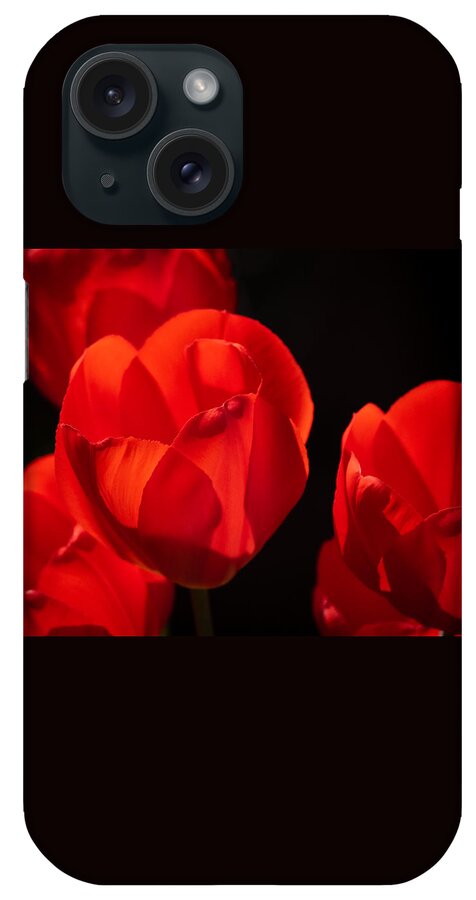 Sunny iPhone Case featuring the photograph Red Tulips by Linda Bonaccorsi
