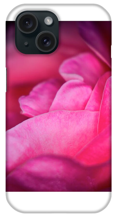 Rose iPhone Case featuring the photograph Red velvet by Chris Bee