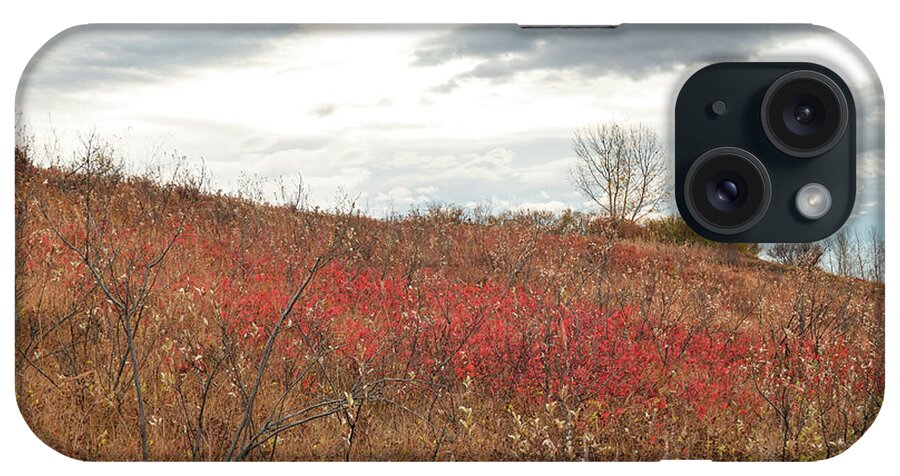 Red iPhone Case featuring the photograph Red Wild Rose Patch In A Pasture by Phil And Karen Rispin