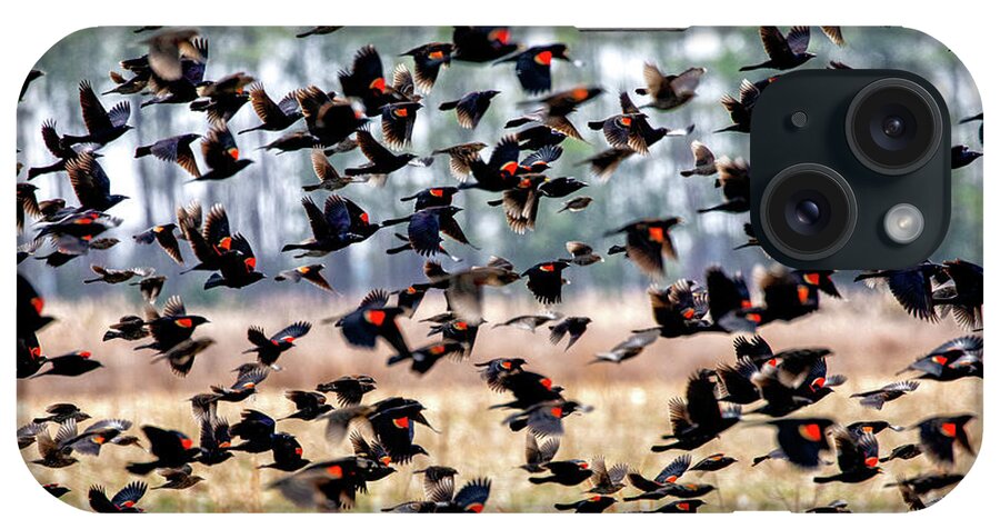 Nature iPhone Case featuring the photograph Red-winged Rush Hour by C Renee Martin