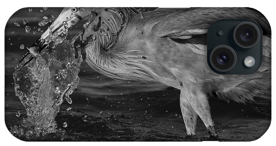 Reddish Egret iPhone Case featuring the photograph Reddish Egret Splash 2006 by John F Tsumas