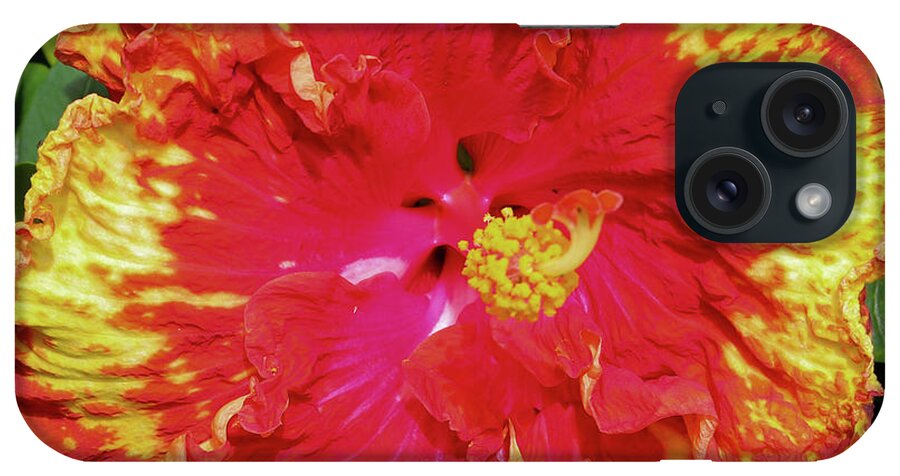 Kauai iPhone Case featuring the photograph Redhots by Tony Spencer