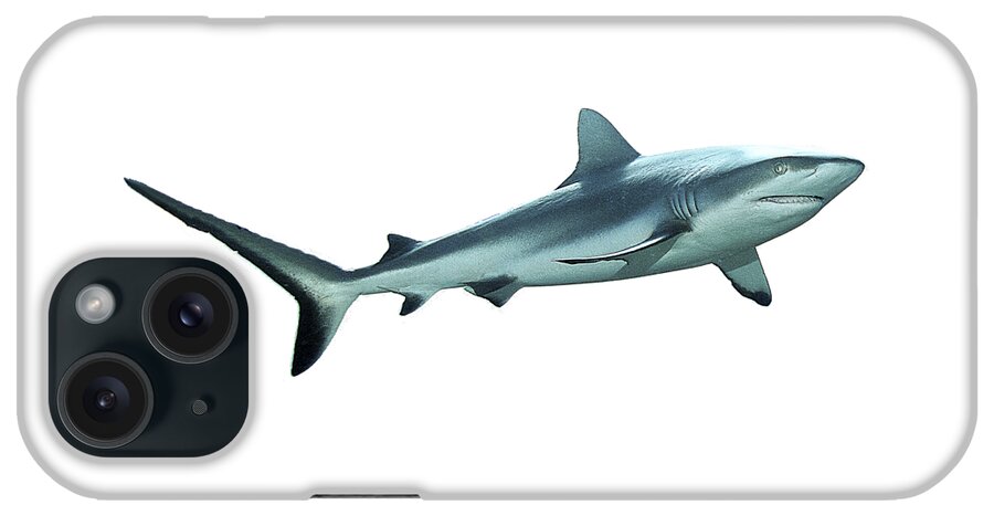 Shark iPhone Case featuring the mixed media Reef shark - Reduced to the MAX - Close and intense - by Ute Niemann