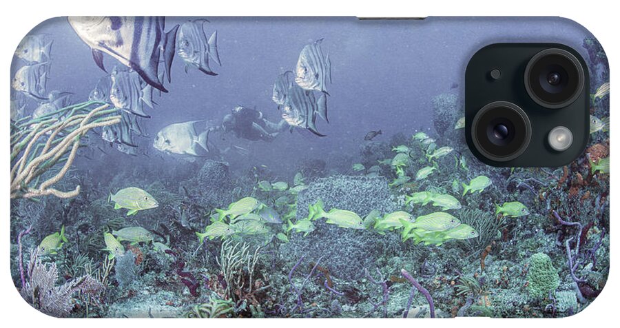 Underwater iPhone Case featuring the photograph Reef Under the Soft Sea by Debra and Dave Vanderlaan