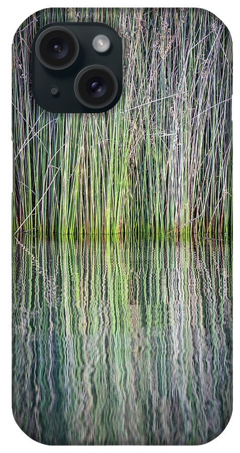 Reeds iPhone Case featuring the photograph Reflecting by Gary Geddes