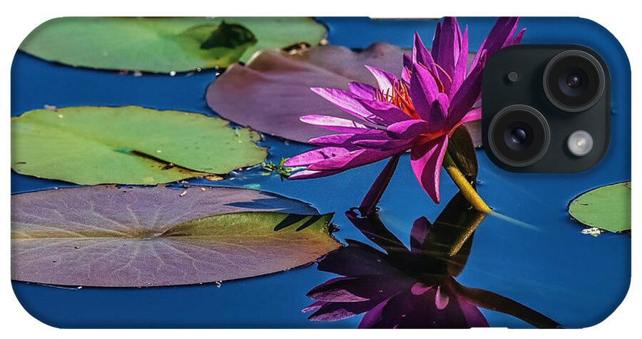 Washington iPhone Case featuring the photograph Reflection of a Water Lily #3 by Stuart Litoff