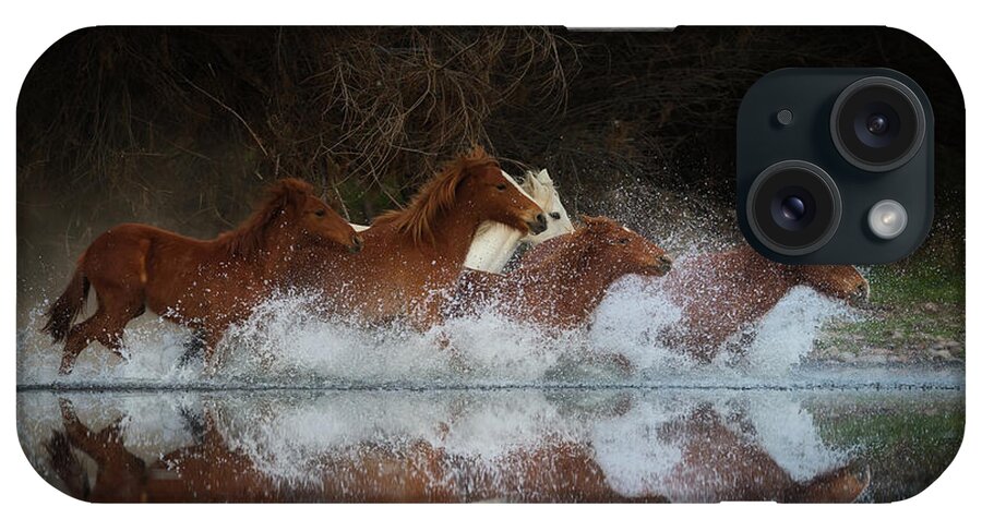 Salt River Wild Horses iPhone Case featuring the photograph Reflection by Shannon Hastings