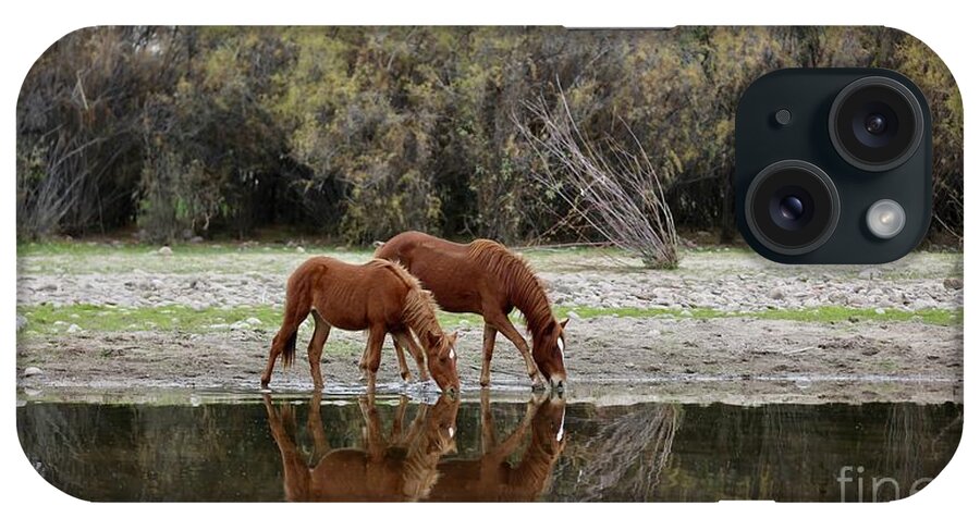 Horses iPhone Case featuring the photograph Reflections of the Wild Ones by Kate Purdy