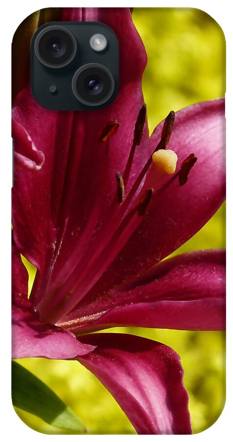Nature iPhone Case featuring the mixed media Relief by Marvin Blaine