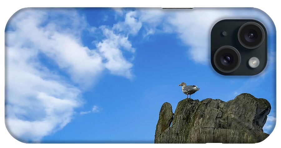 Rest iPhone Case featuring the photograph Resting Bird by Anamar Pictures