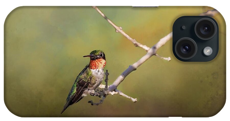 Hummingbird iPhone Case featuring the photograph Resting Hummingbird by Pam Rendall