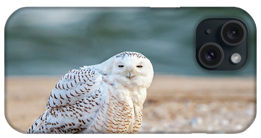 Owl iPhone Case featuring the photograph Return of Snowy Owl by Cathy Kovarik