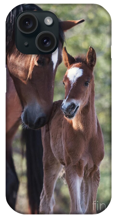Foal iPhone Case featuring the photograph Reunited by Shannon Hastings