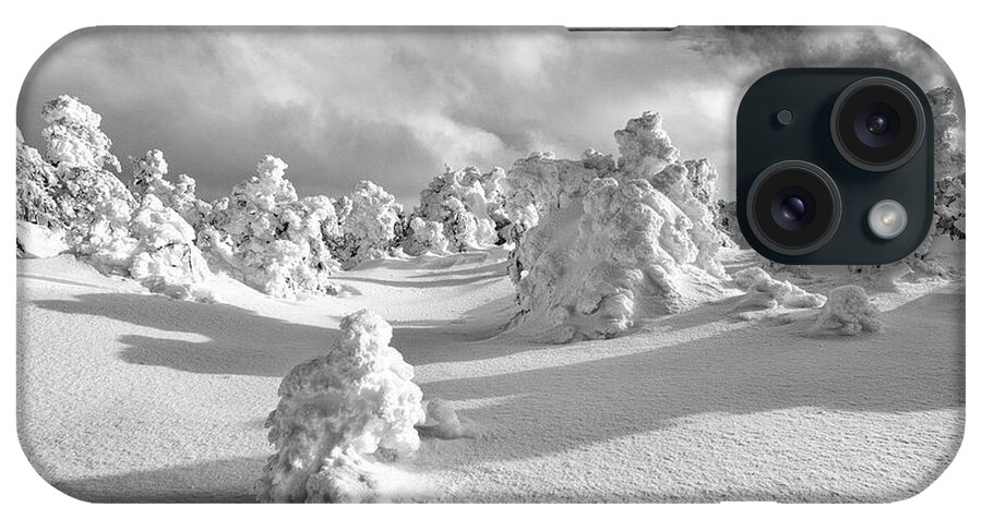 New Hampshire iPhone Case featuring the photograph Rime Forest by Jeff Sinon