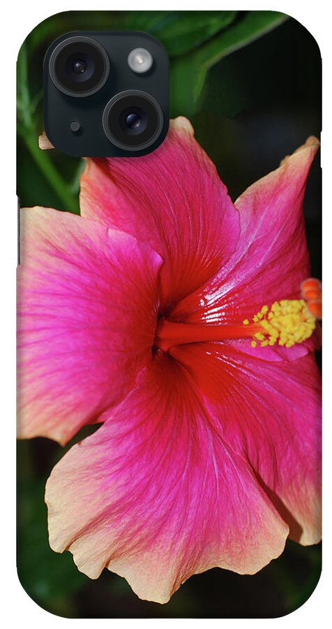 Hibiscus iPhone Case featuring the photograph Rise and Shine - Hibiscus Face by Connie Fox
