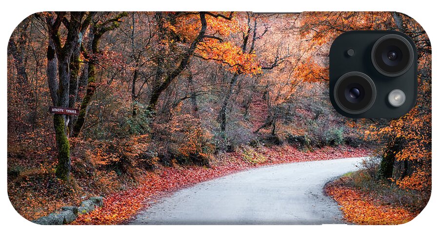 Foliage iPhone Case featuring the photograph Road in the Forest with Autumn Colors by Alexios Ntounas