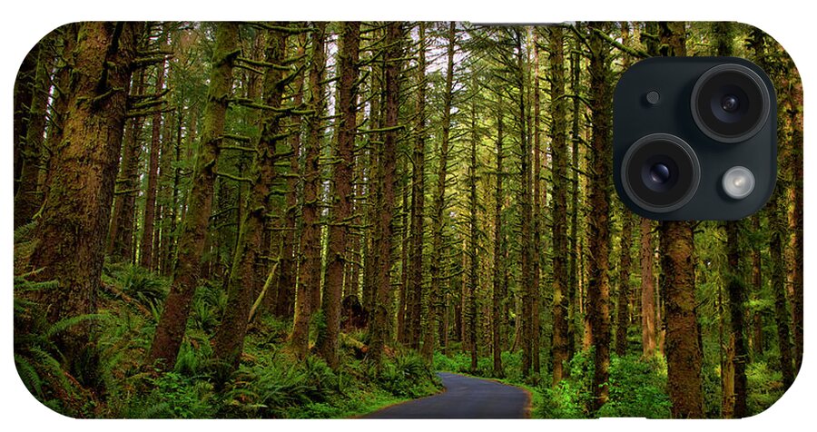 Road Through Ecola State Park iPhone Case featuring the photograph Road through Ecola State Park by Lynn Hopwood