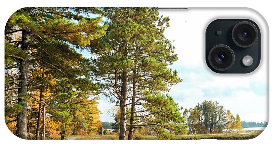 Seney National Wildlife Refuge iPhone Case featuring the photograph Road Through the Wildlife Refuge by Robert Carter