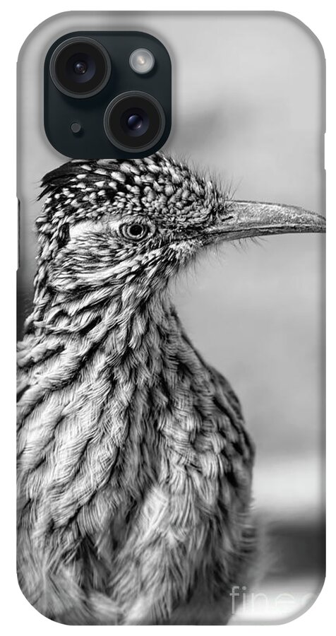Greater Roadrunner iPhone Case featuring the photograph Roadrunner Closeup BW by Elisabeth Lucas