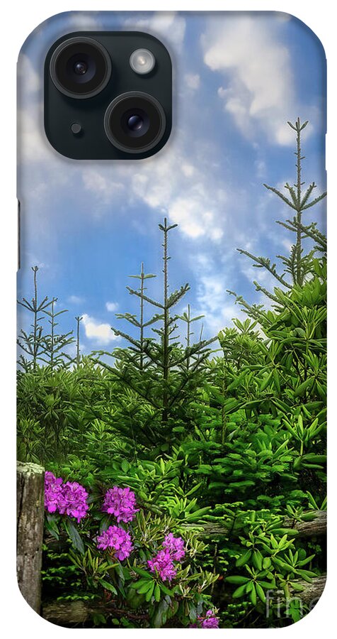 Roan Mountain iPhone Case featuring the photograph Roan Mountain High by Shelia Hunt