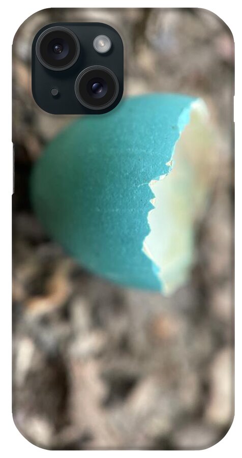  iPhone Case featuring the photograph Robin egg by Meta Gatschenberger