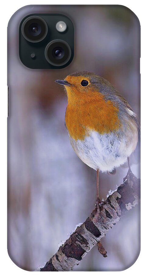 Erithacus Rubecula iPhone Case featuring the photograph Robin in the snow by Tony Mills