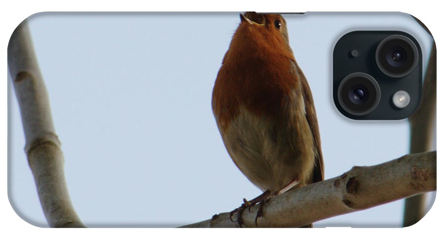 Robin iPhone Case featuring the photograph Robin Sings It Loud by Adrian Wale
