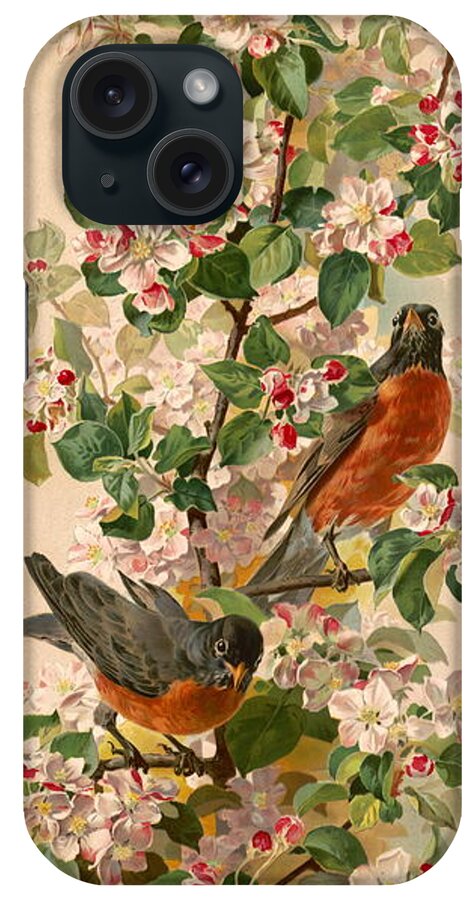 Flowers iPhone Case featuring the photograph Robins 1896 by Padre Art