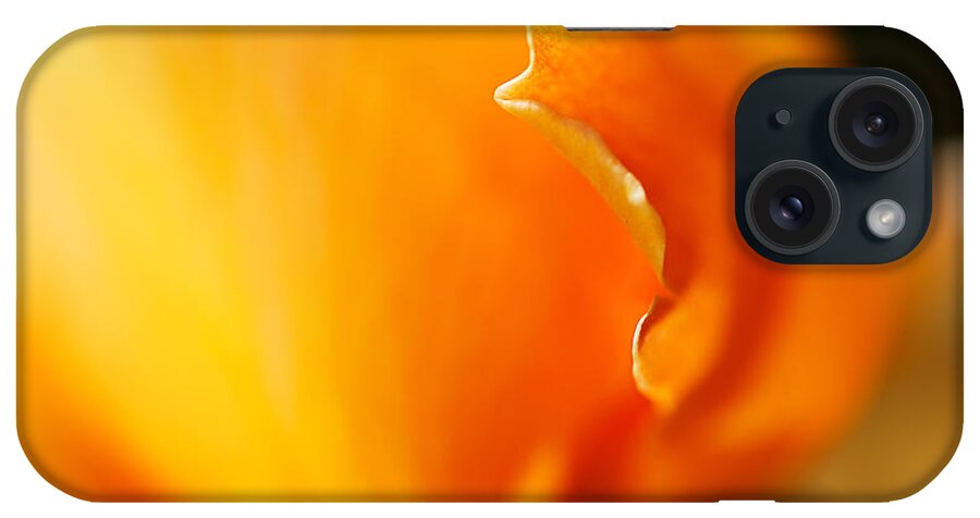 Rose iPhone Case featuring the photograph Romance Rose Orange by Joy Watson