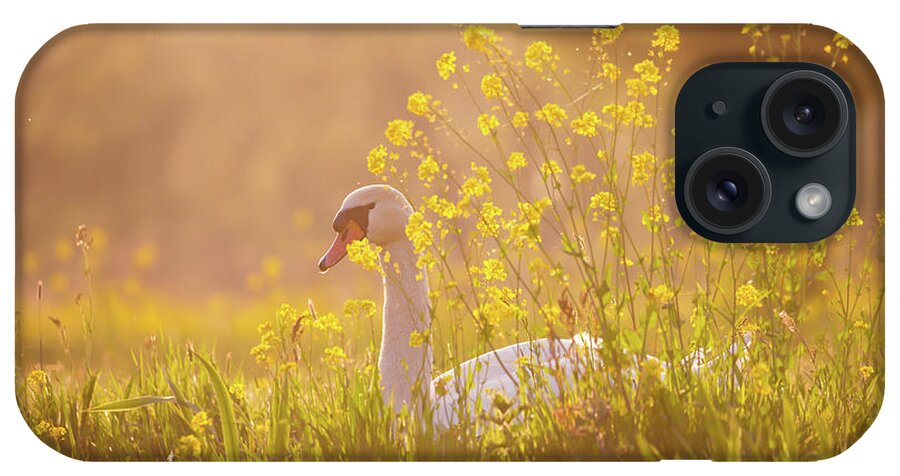 Swan iPhone Case featuring the photograph Romantic Swan by Roeselien Raimond