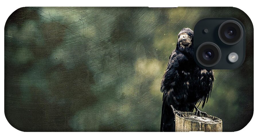 Feathers iPhone Case featuring the photograph Rook perched on a post with dark and moody textured background by Jane Rix